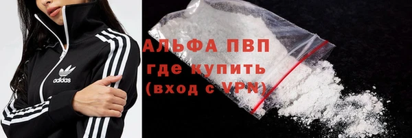дживик Инсар