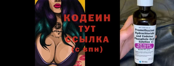 тгк Инта