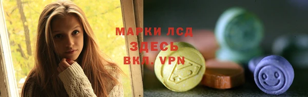 тгк Инта
