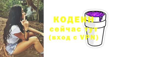 тгк Инта