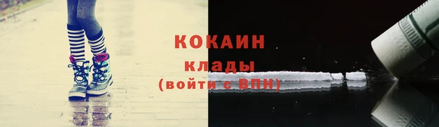 бошки Иннополис