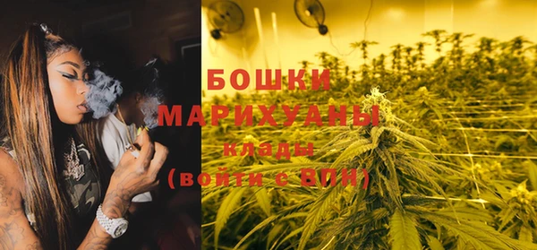 тгк Инта