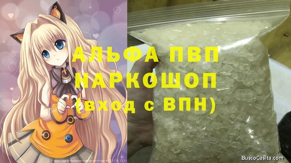 дживик Инсар