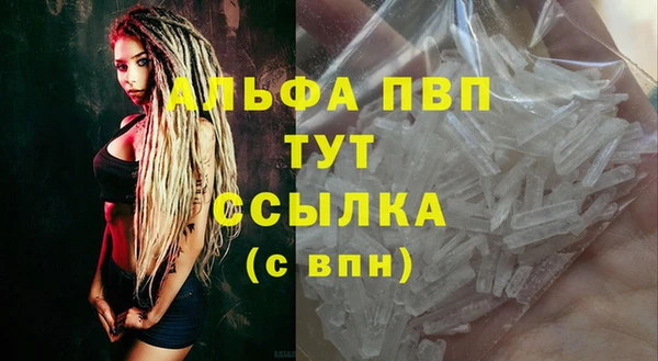 тгк Инта