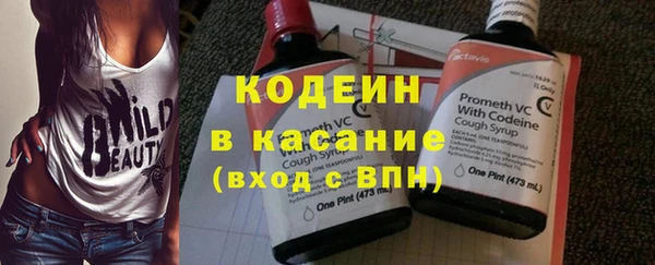 тгк Инта
