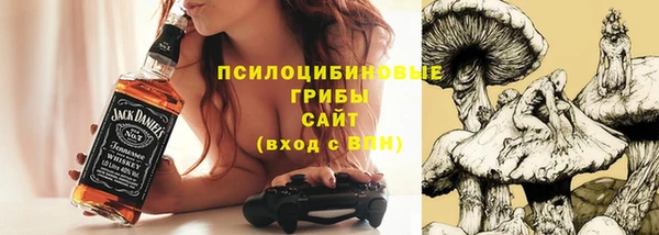 бошки Иннополис