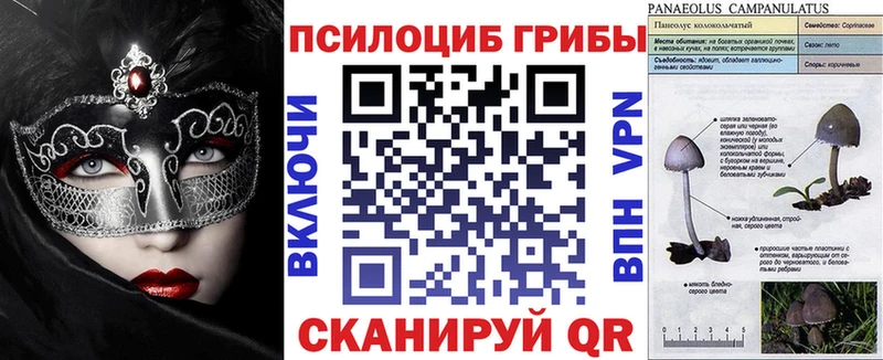 даркнет какой сайт  Знаменск  Псилоцибиновые грибы Psilocybe 