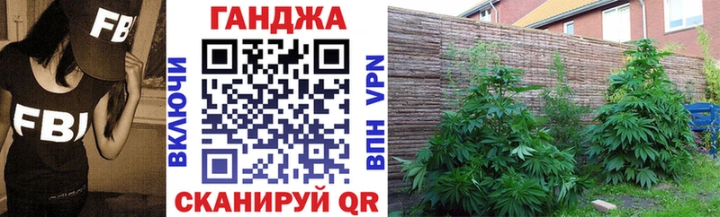 Конопля индика Знаменск